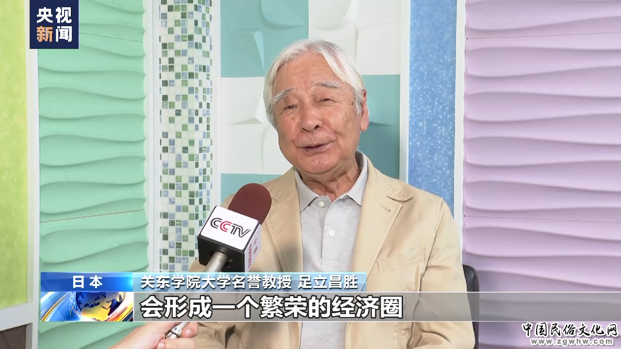 总台记者专访丨日本专家:日美韩强化同盟关系 扰乱地区稳定